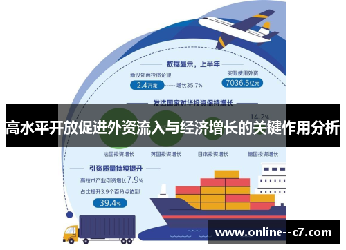 高水平开放促进外资流入与经济增长的关键作用分析