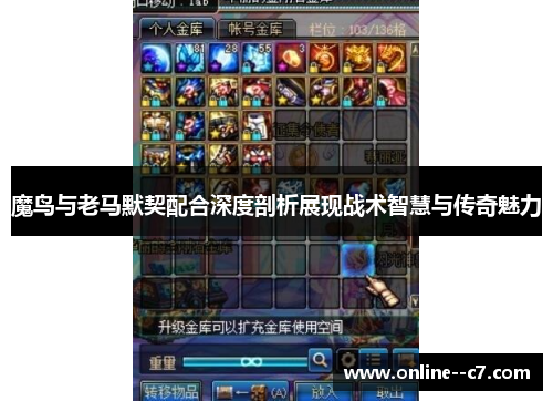 魔鸟与老马默契配合深度剖析展现战术智慧与传奇魅力