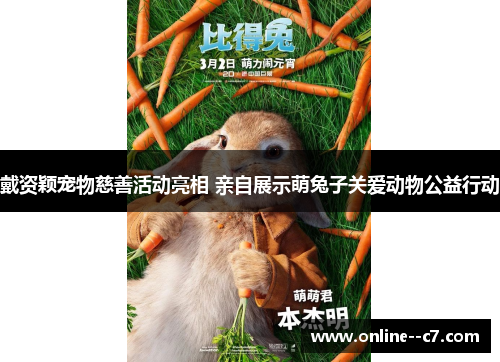 戴资颖宠物慈善活动亮相 亲自展示萌兔子关爱动物公益行动 戴资颖宠物慈善活动亮相 亲自展示萌兔子关爱动物公益行动