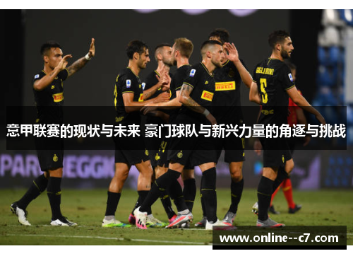 意甲联赛的现状与未来 豪门球队与新兴力量的角逐与挑战 意甲联赛的现状与未来 豪门球队与新兴力量的角逐与挑战