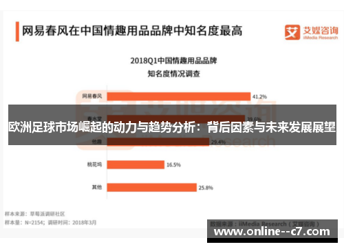 欧洲足球市场崛起的动力与趋势分析:背后因素与未来发展展望 欧洲足球市场崛起的动力与趋势分析:背后因素与未来发展展望