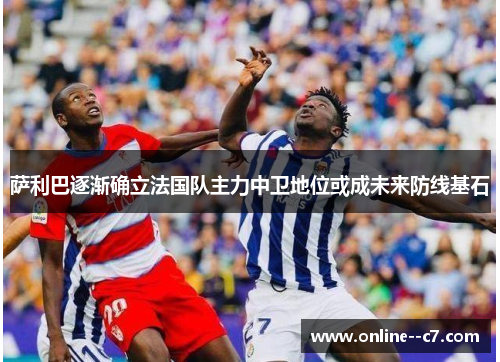 萨利巴逐渐确立法国队主力中卫地位或成未来防线基石